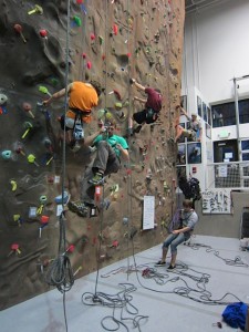 AMGA Climbing Instructor Program - AMGA