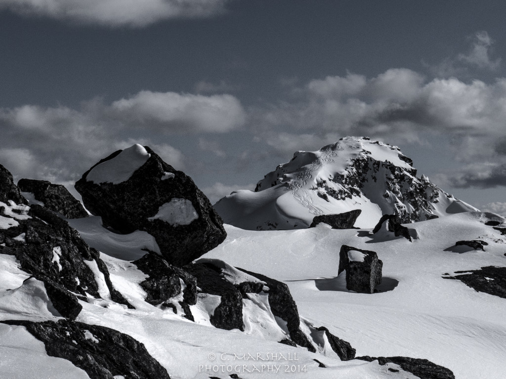 Tracks Taylor Peak; photo: Chris Marshall