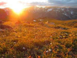 Photo taken while watching the sunset on the Froze to Death Plateau in the Beartooth mountains of Montana. In early July this year Akio Joy helped with Montana Alpine Guides to take Woody and Pierre to the top of Montana's highest point, Granite Peak.