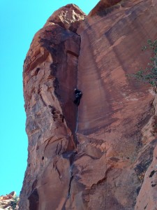 Steve Levin smoothly ascending The Fox (5.10d), our movement exam route.