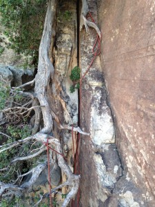 What happens to your rope when you pull it down from a rappel in Red Rocks. Aargh!