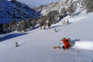 JS ski