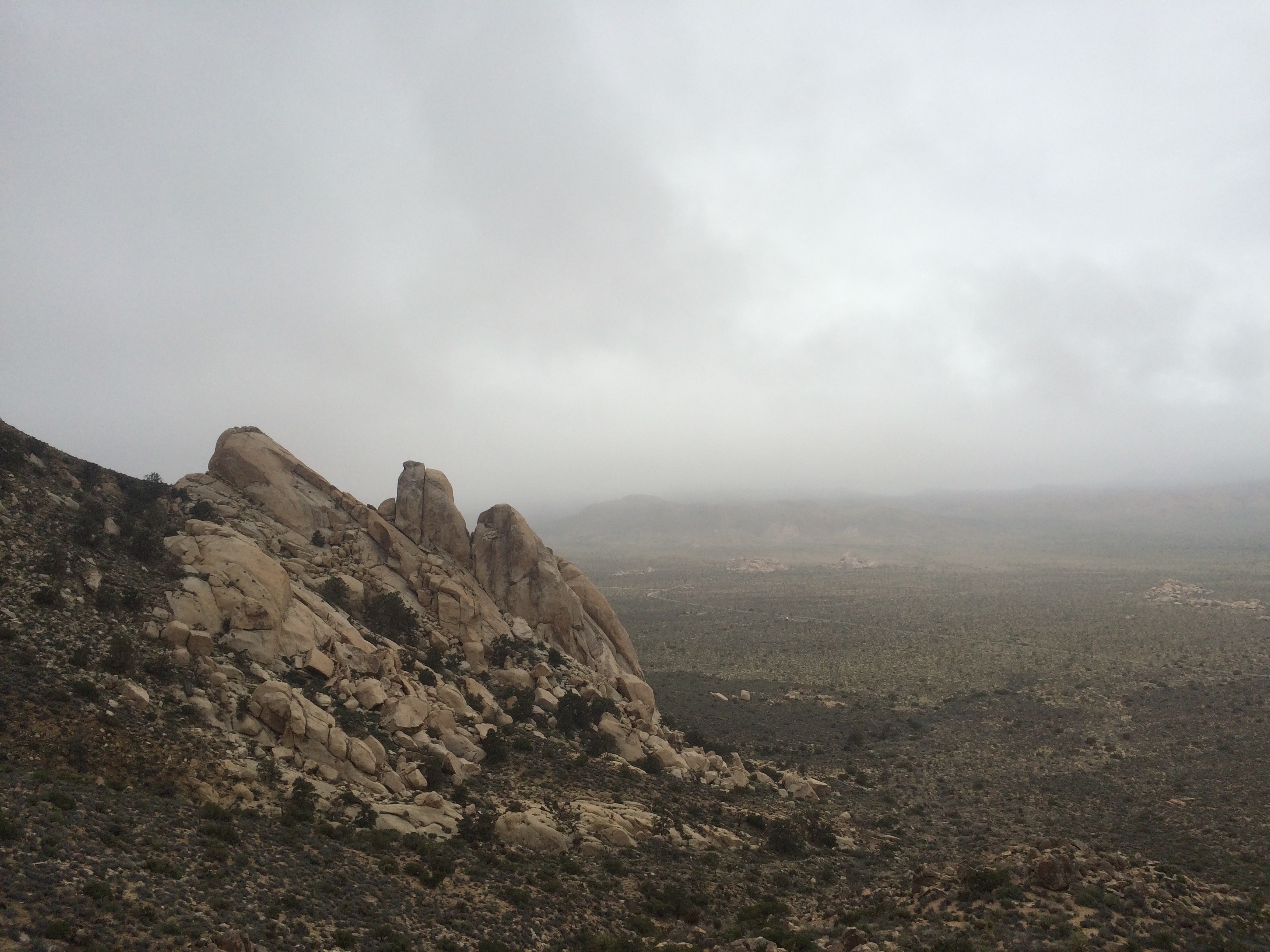 Saddle Rocks-Joshua Tree